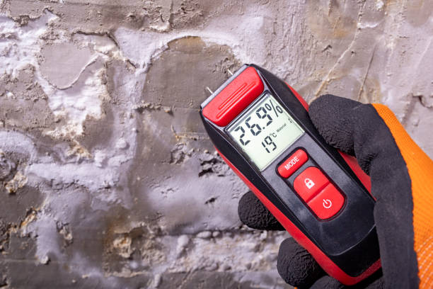 Best Water Damage Restoration  in Brookshire, TX