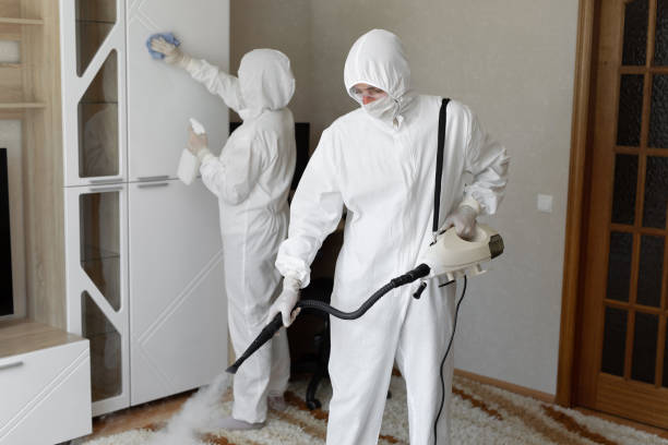 Mold Testing and Removal in Brookshire, TX