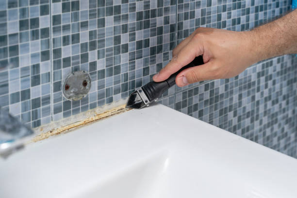 Best Office Mold Removal Services  in Brookshire, TX